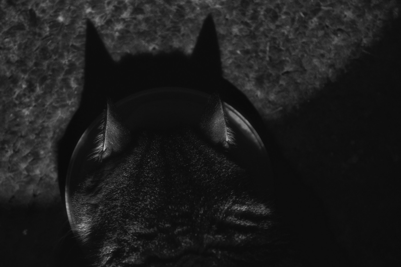 Жизнь вокруг