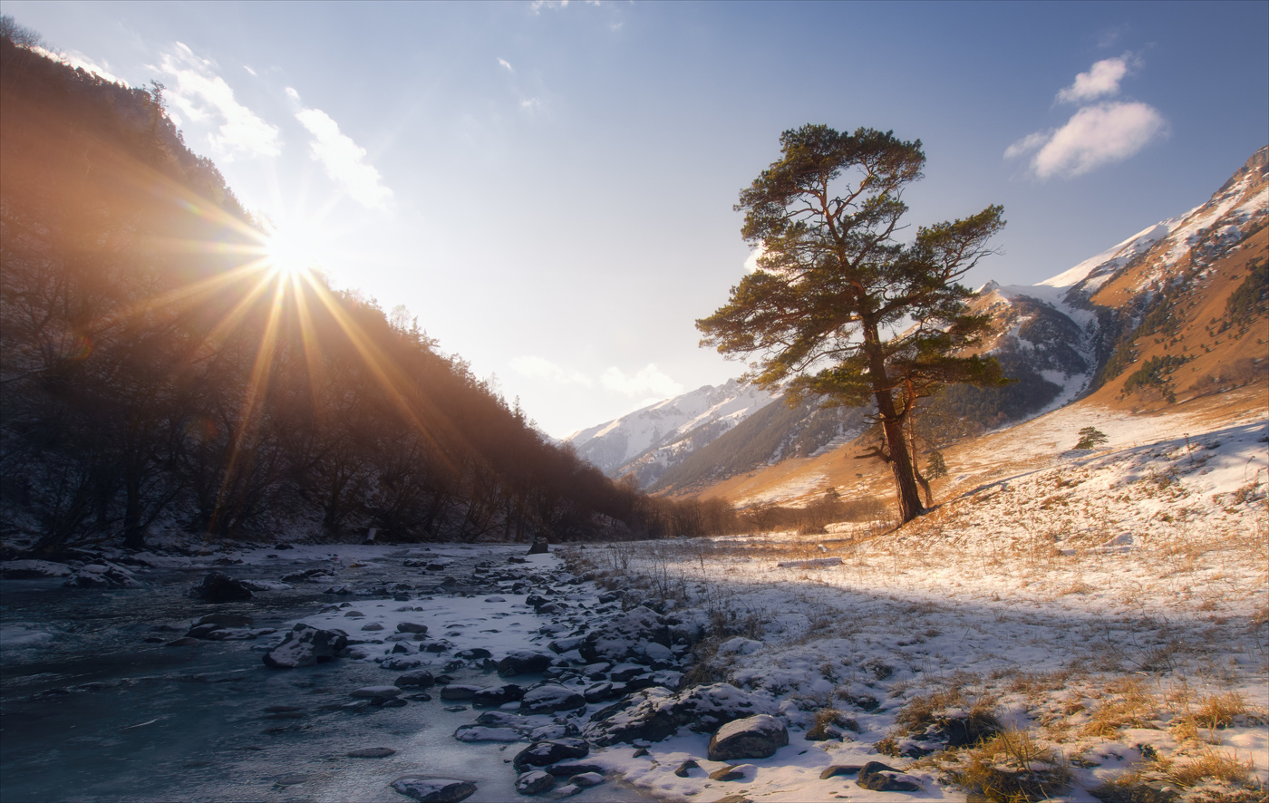 Встречая утро.