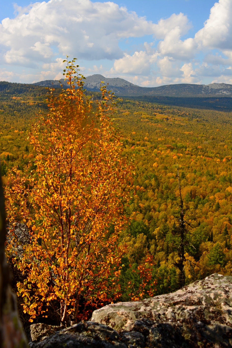 Осень в горах Башкирии.