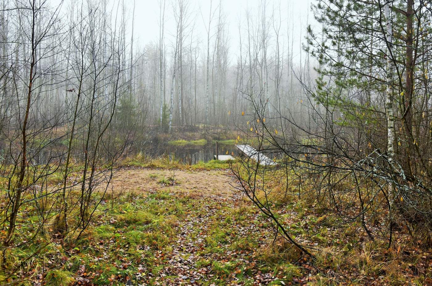"Ноябрьским днем, когда защищены от ветра только голые деревья..."