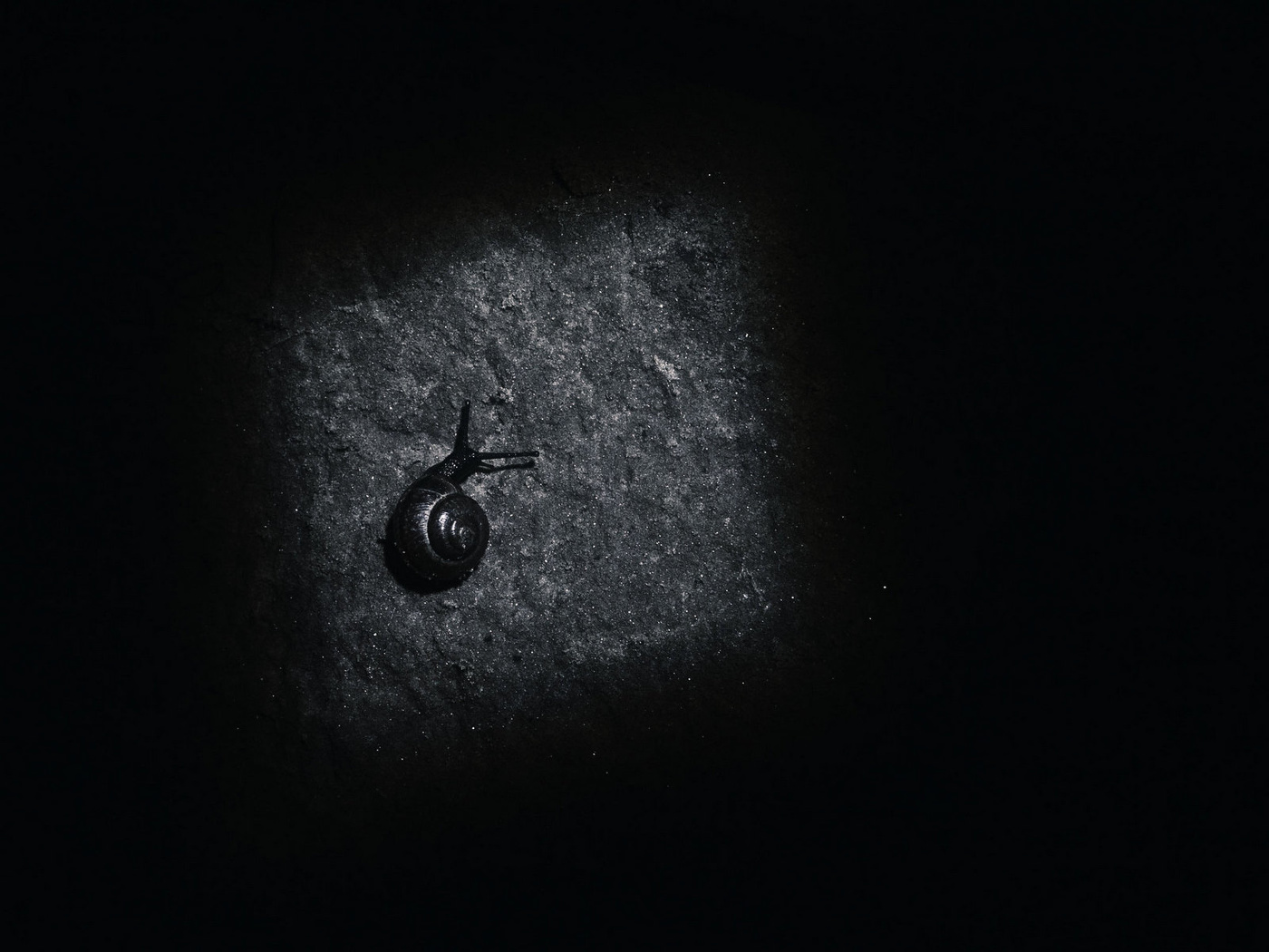 Жизнь вокруг