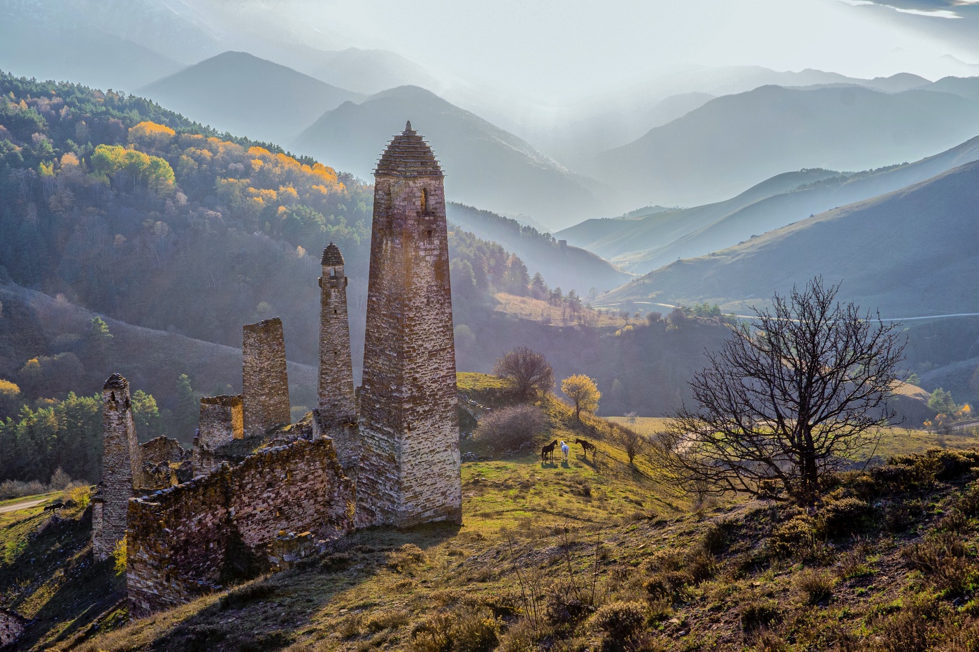 В предзакатной дымке