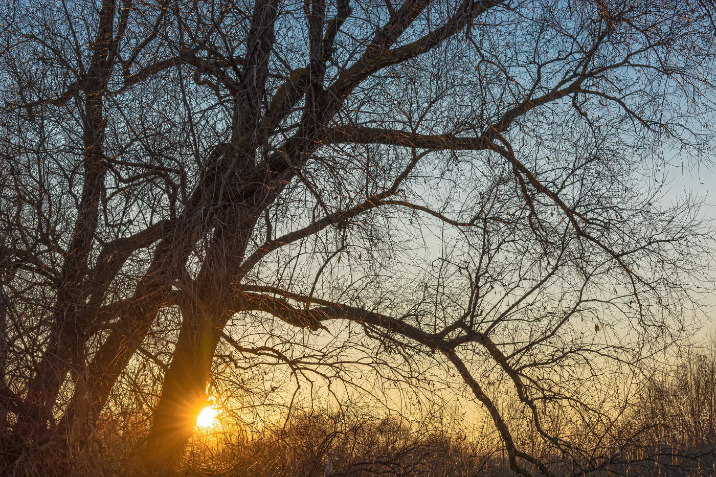Прощается Октябрь...