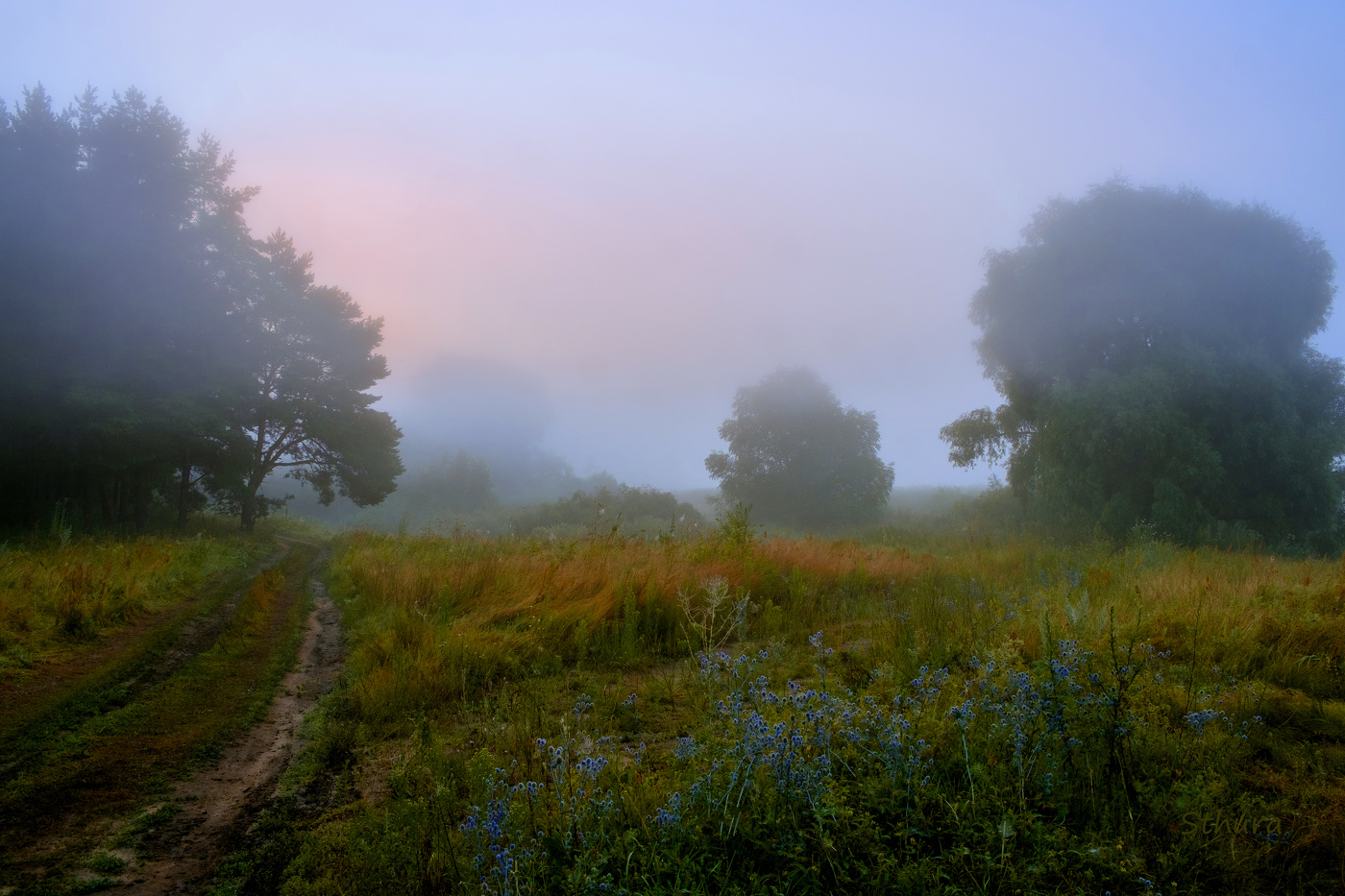 Туман на рассвете.
