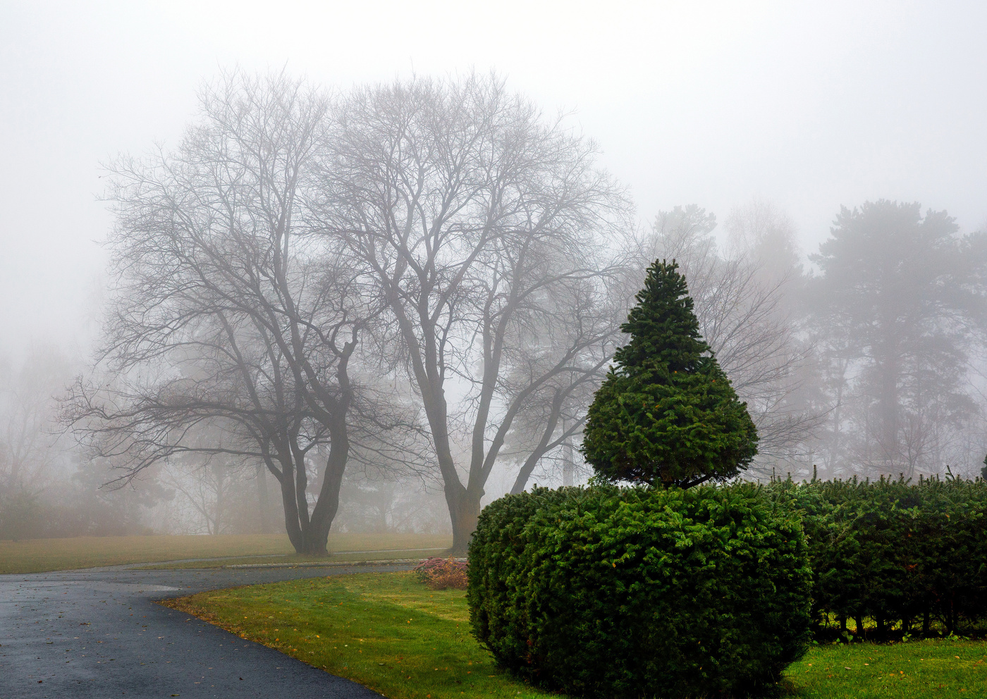 Утром в перке