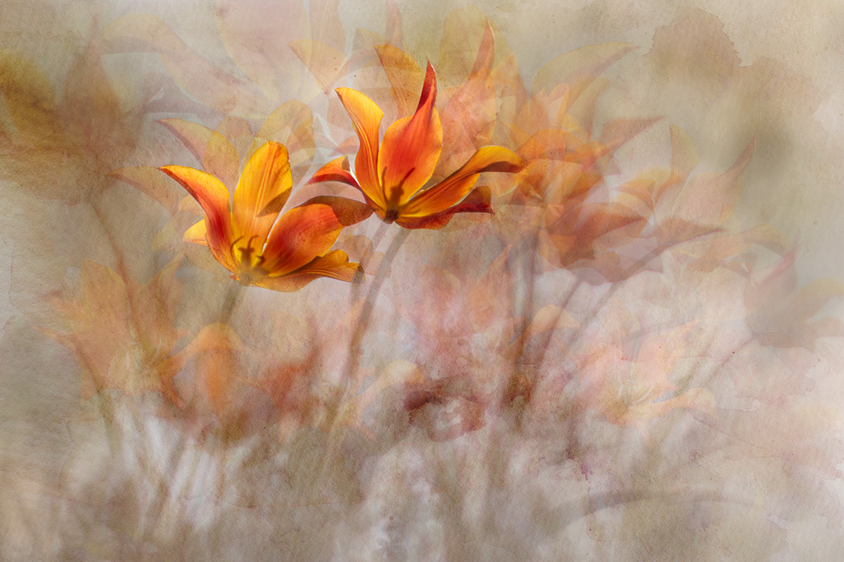 Весенние миражи...