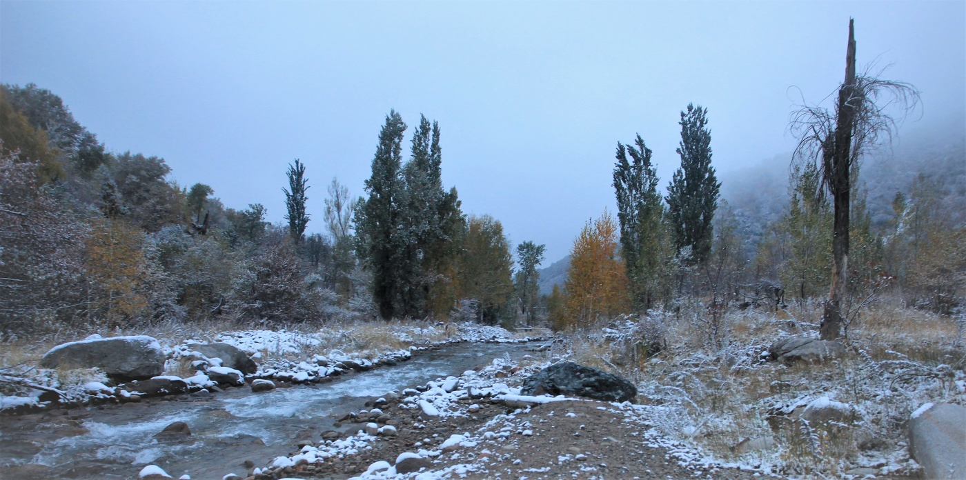 Вечер после первого снега