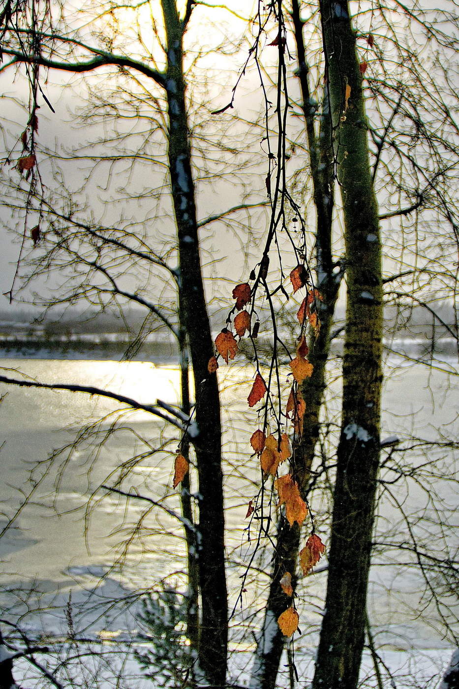 *Остатки осени печальной.**