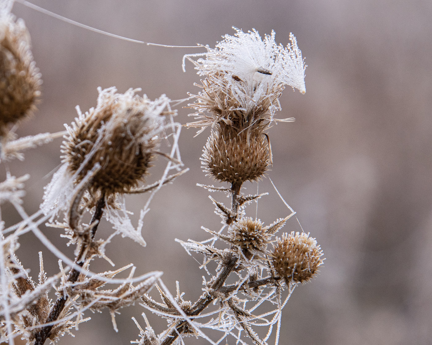 Хрустальная красота