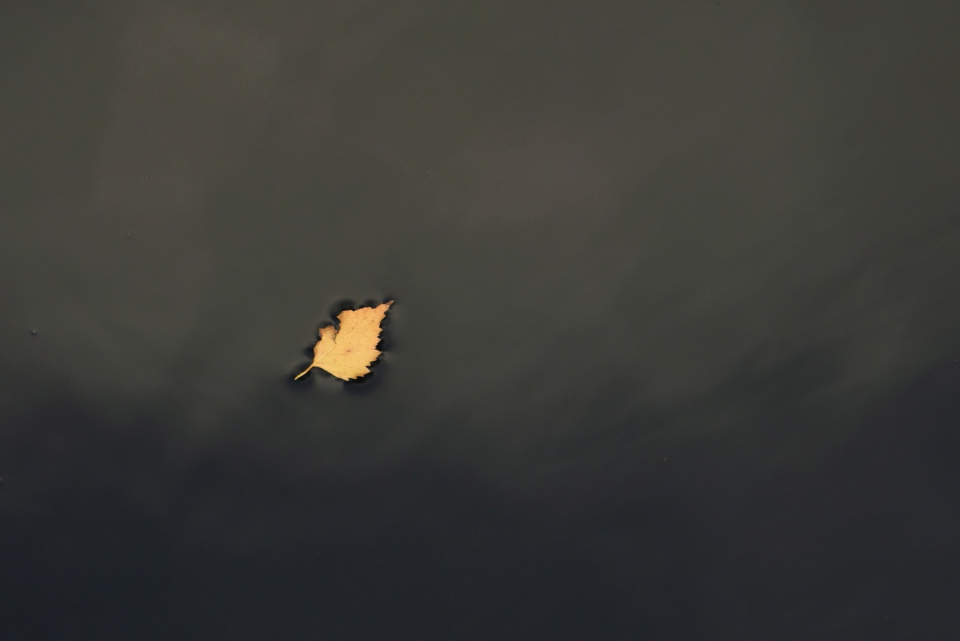 "Одиночество - горькая пустота и вокруг ничего живого ..."