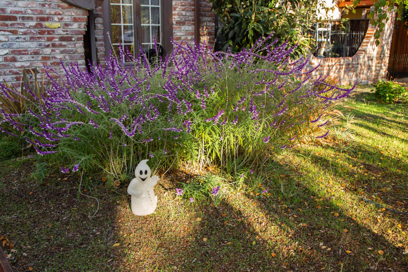 Весёлый Холлуин