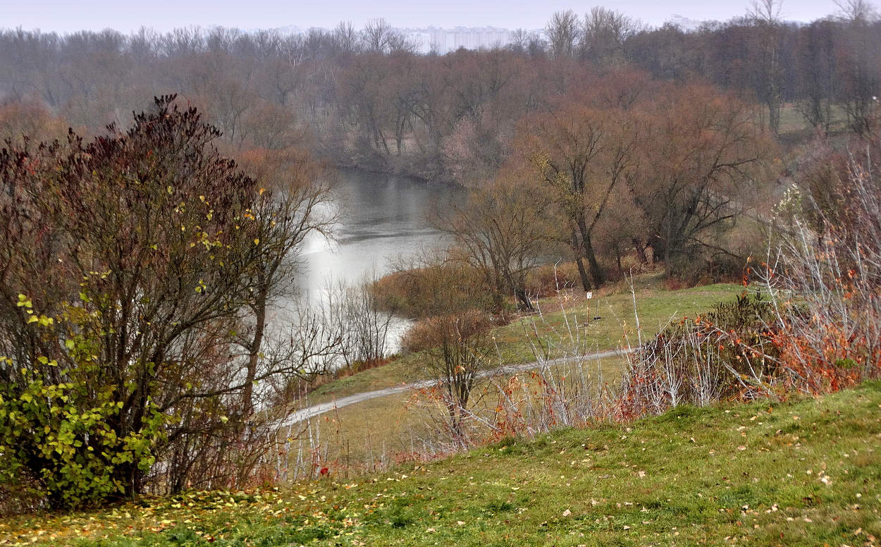 Пришёл пасмурный и дождливый ноябрь