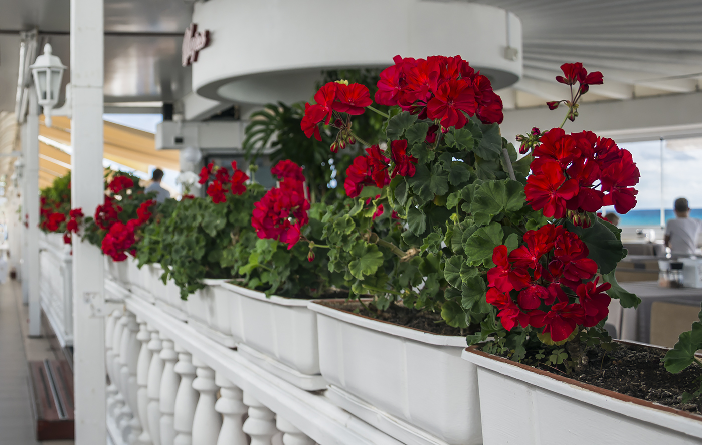 Кафе у моря.