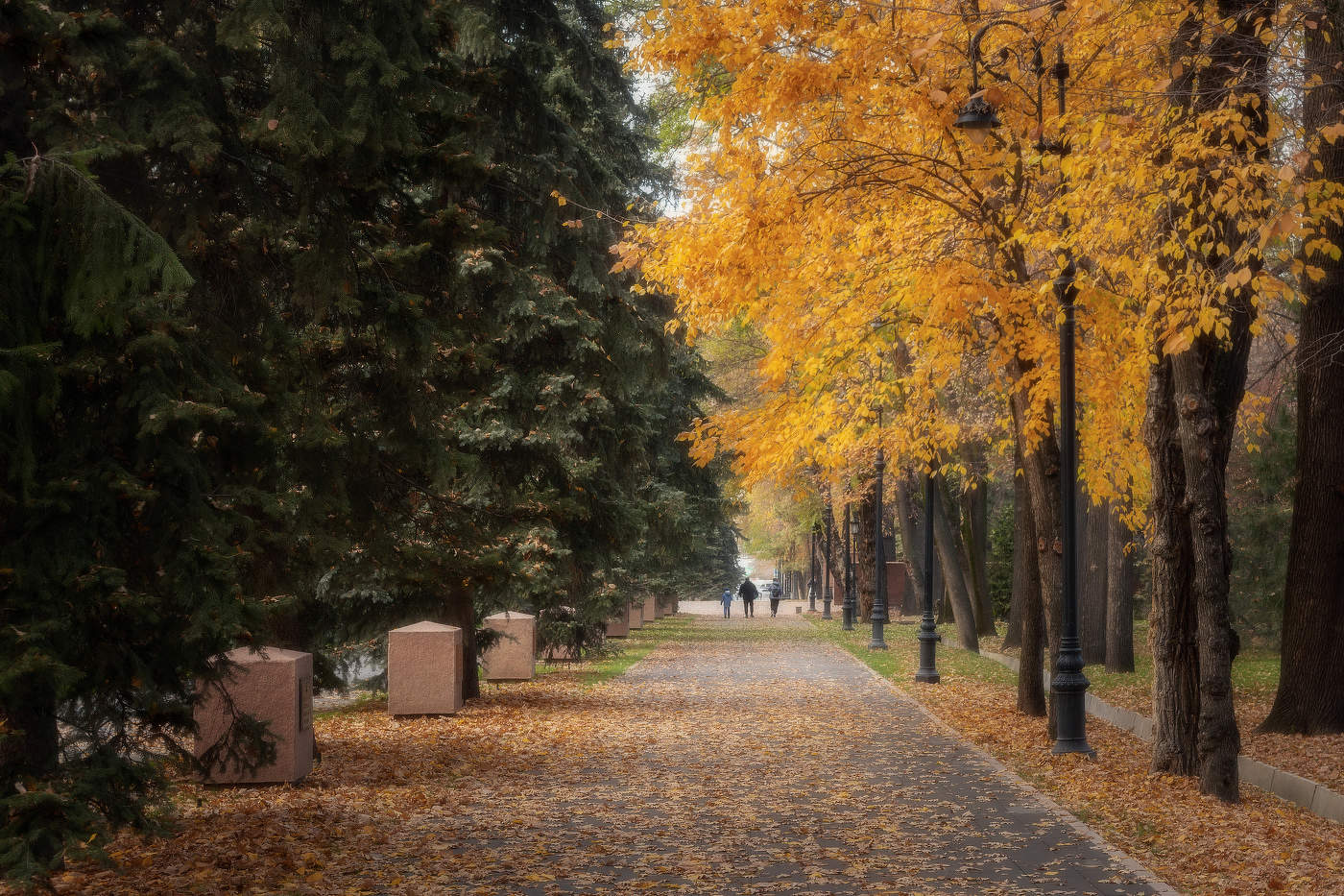 Прогулка в осень.