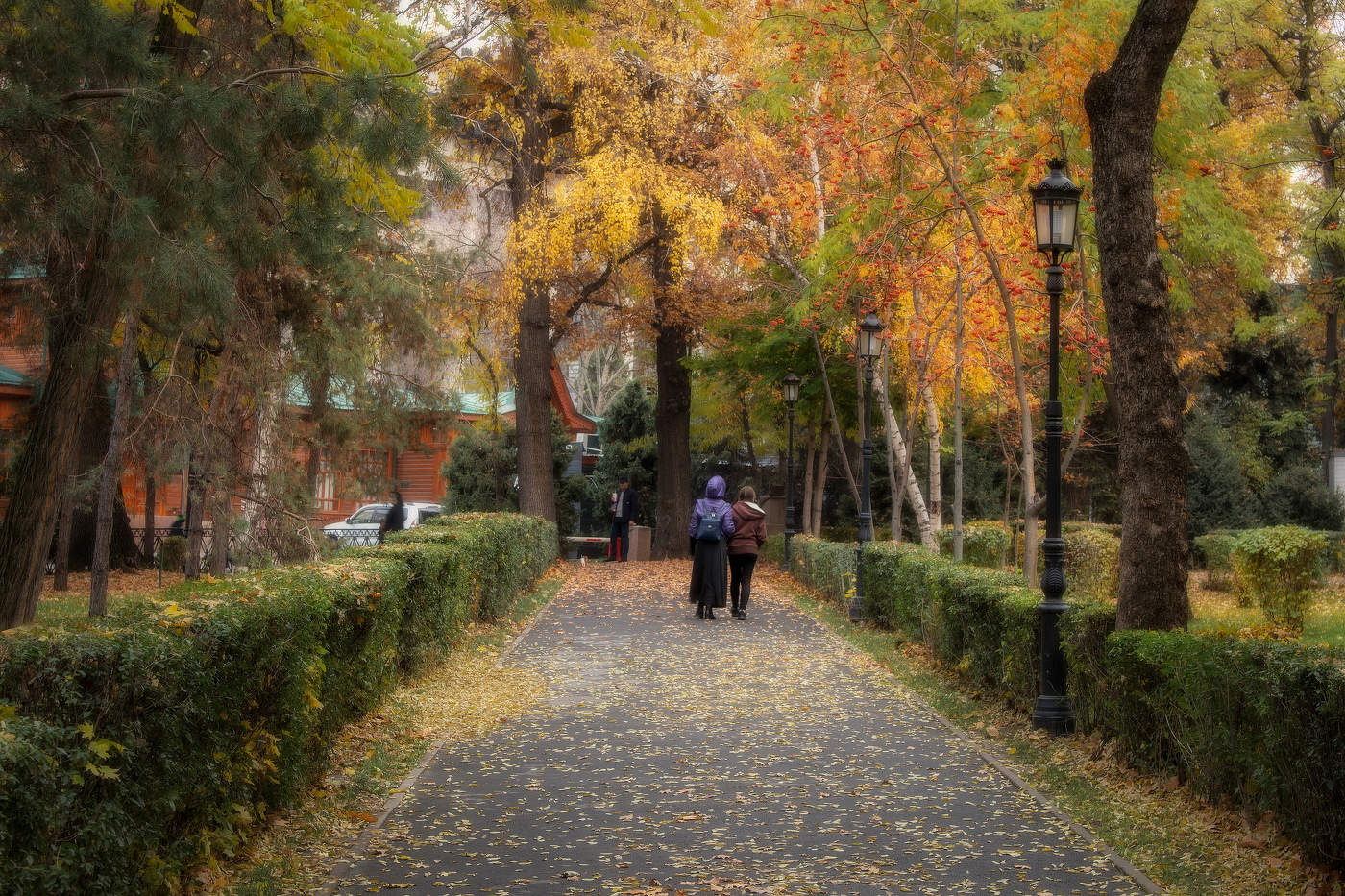 Прогулка в осень 2