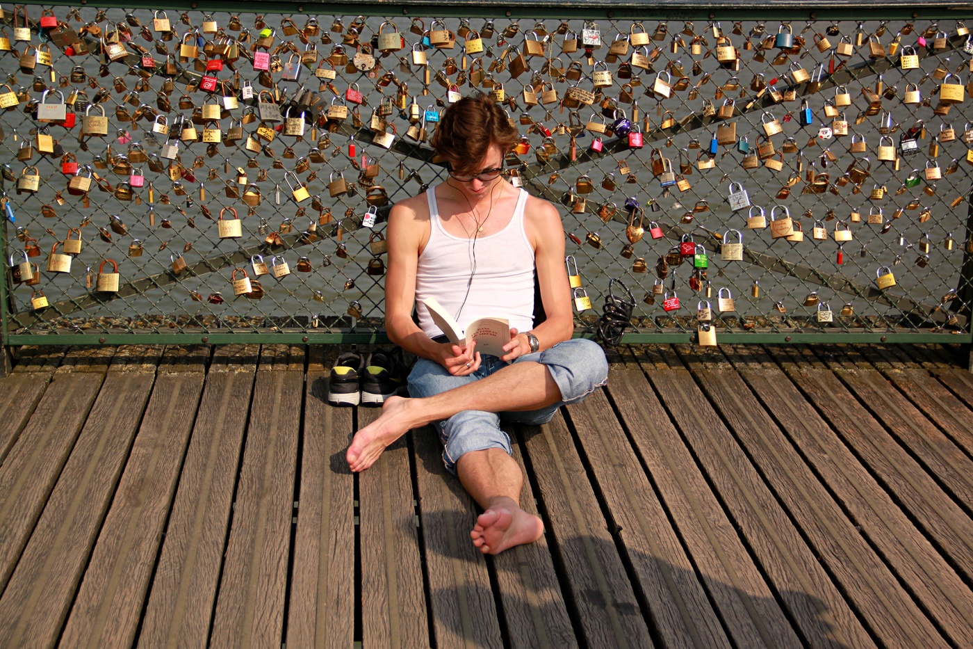 Мосты Парижа