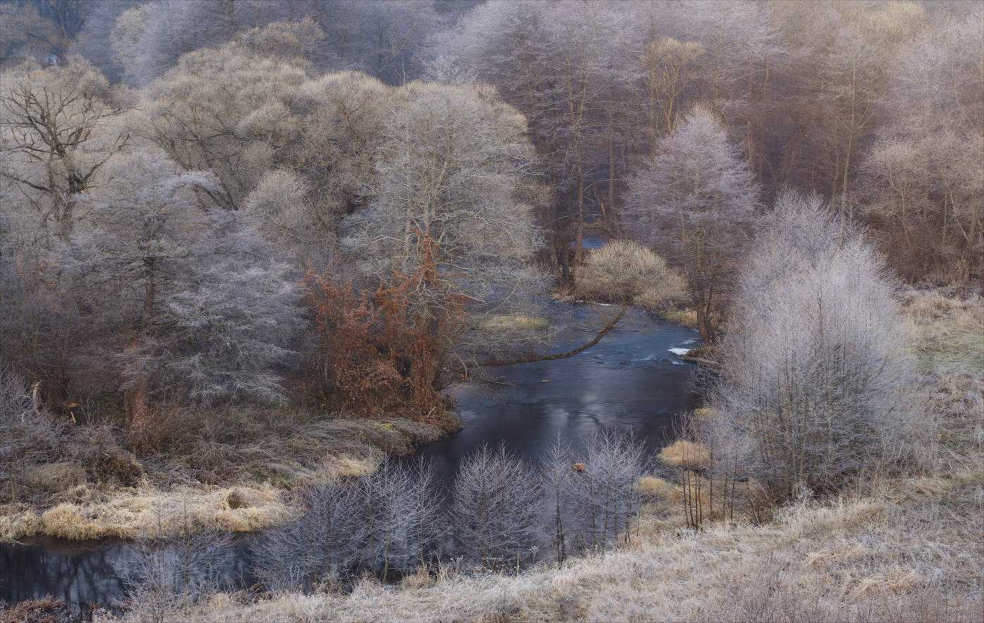 Поздней осени темные воды...