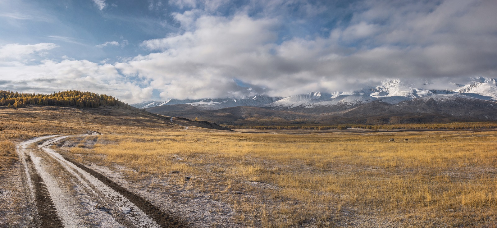 Из путешествия по Алтаю