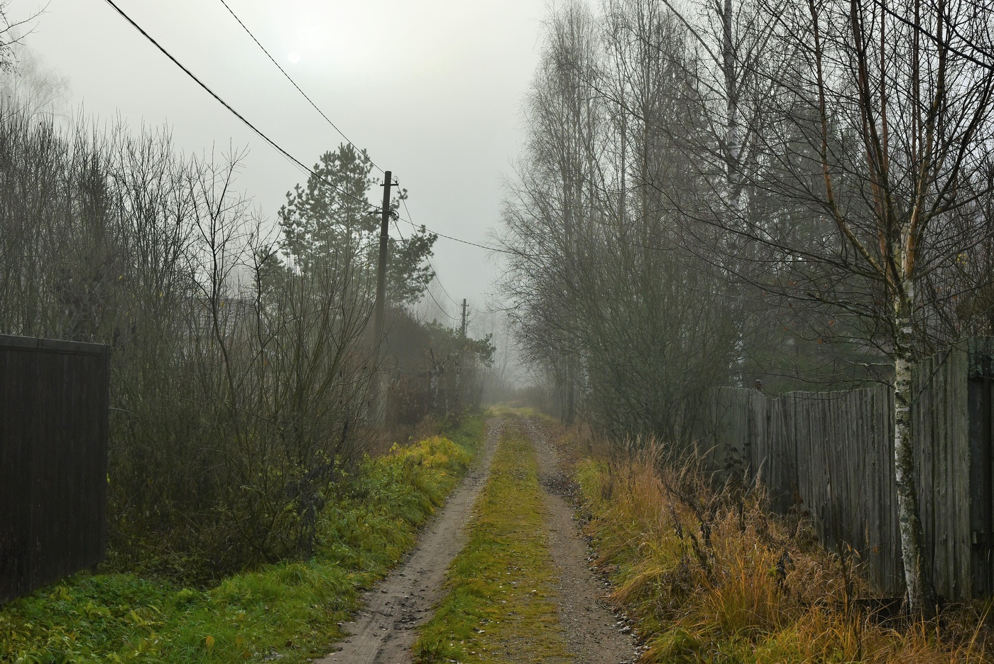 "Небо серое цвета кровельного железа ..."
