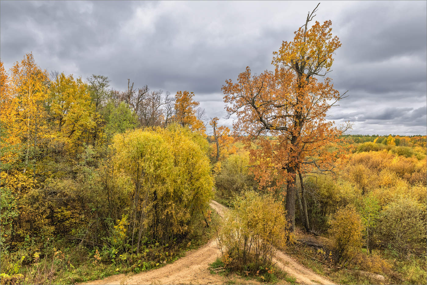 На развилке