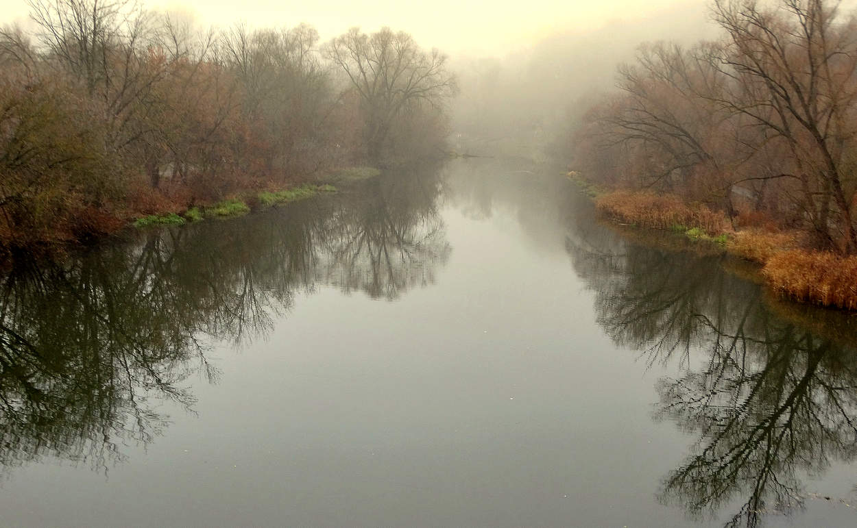 Туманный ноябрьский день