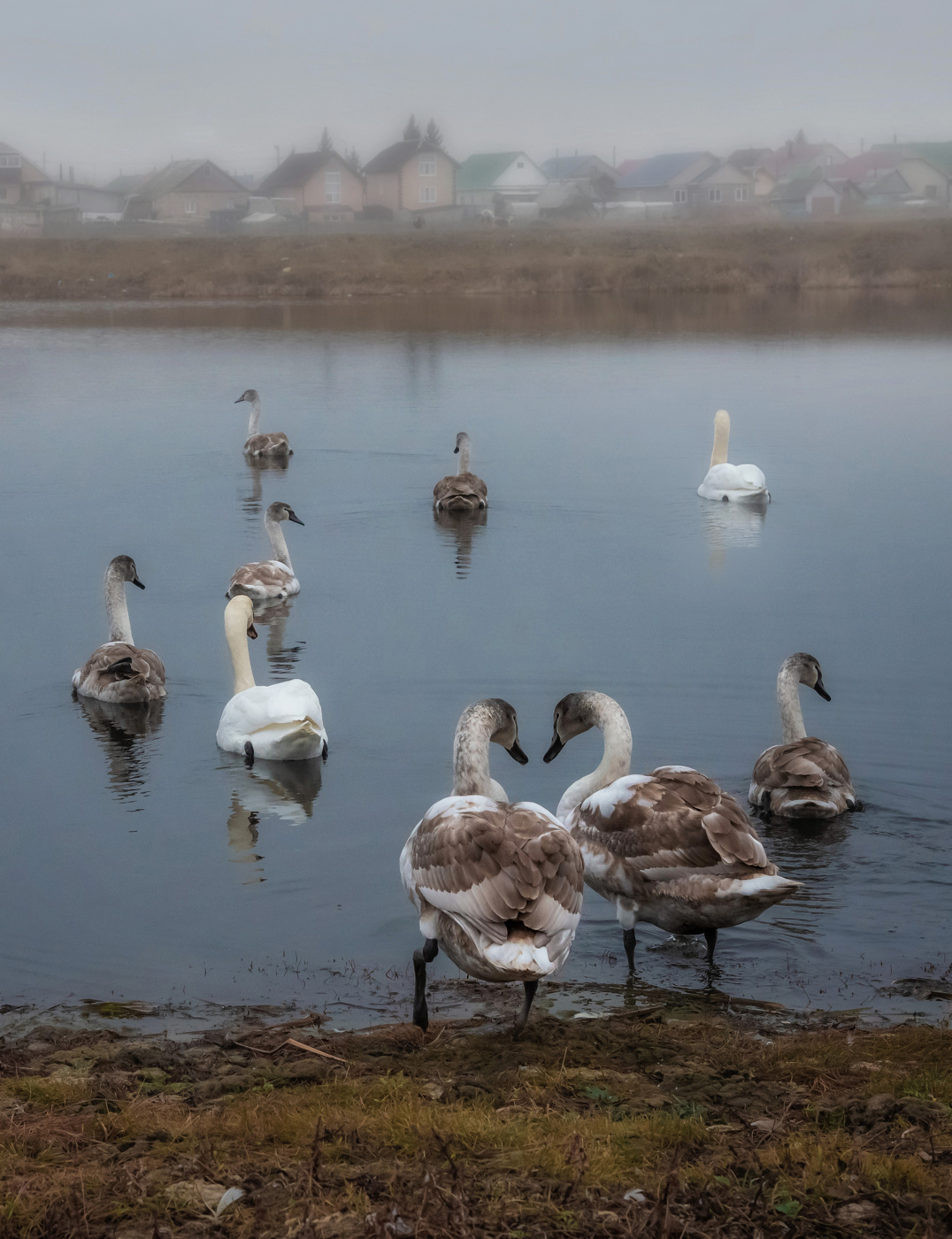 Может, лучше полетаем?