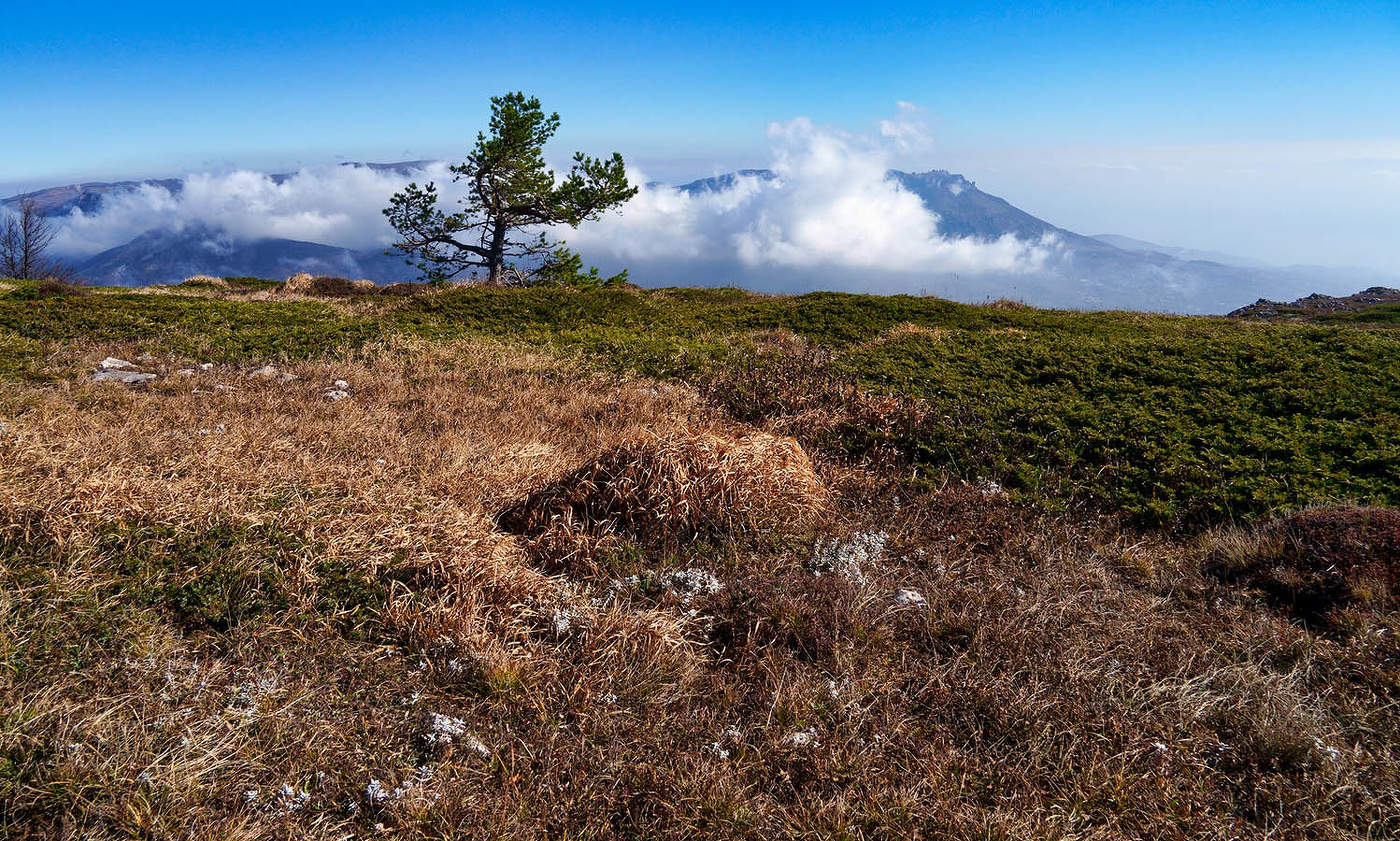 На верхнем плато