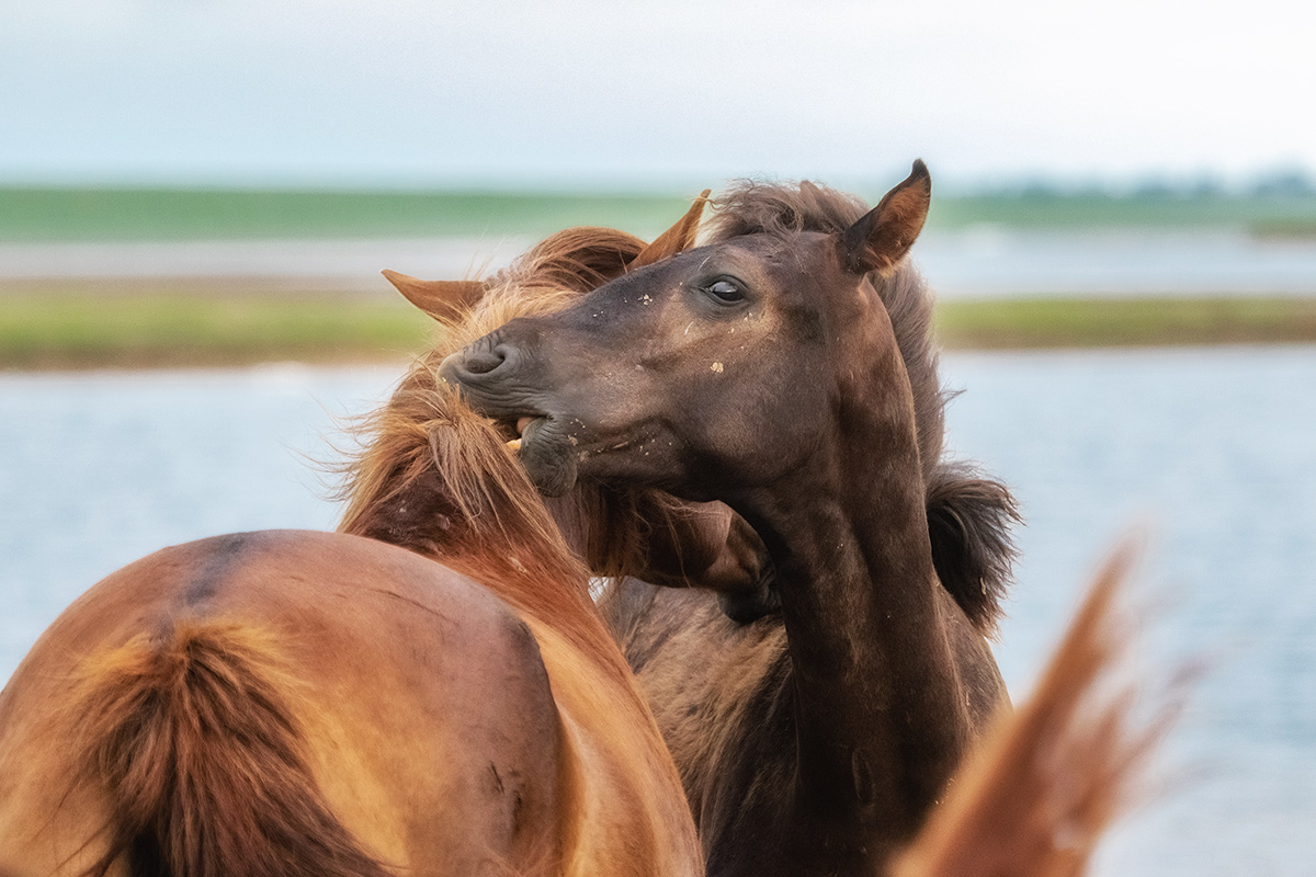 Высокие отношения