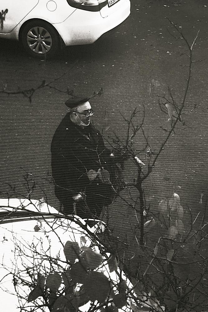 осенний букет