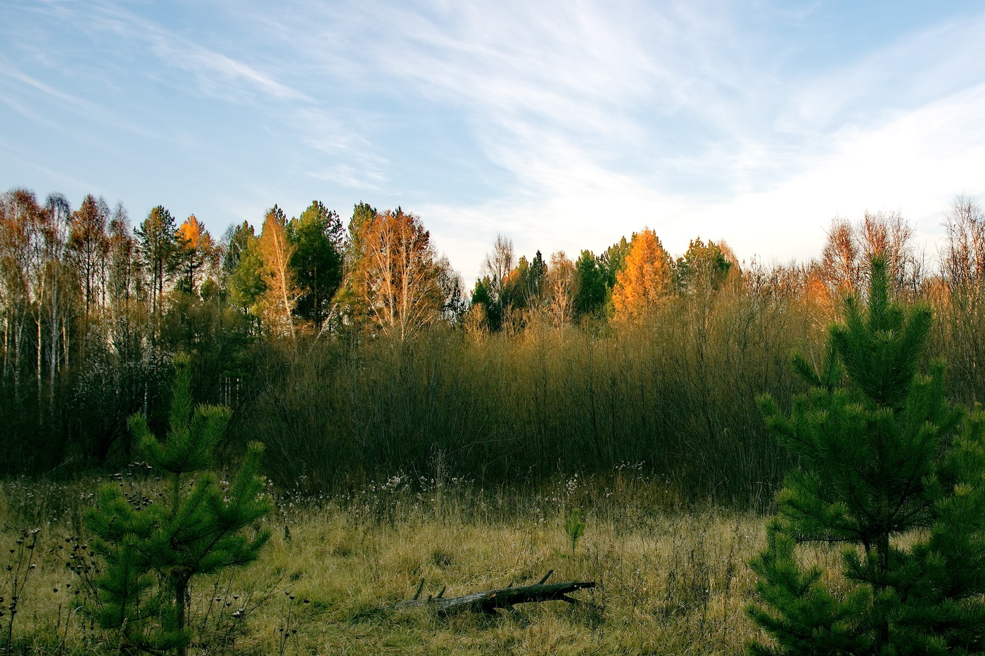 Осенний вечер.