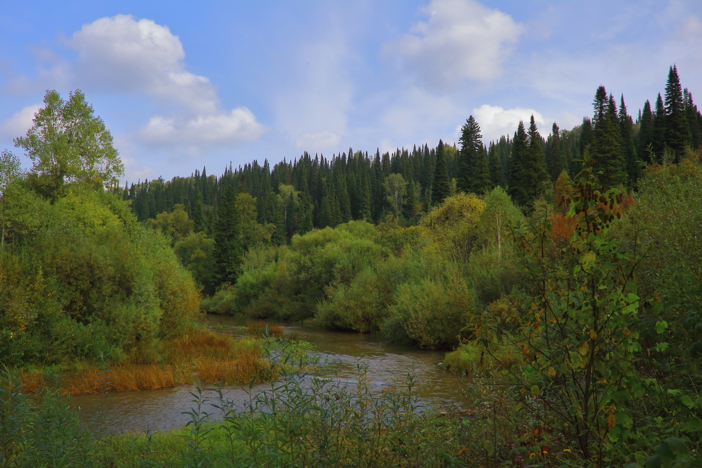 Робкая осень