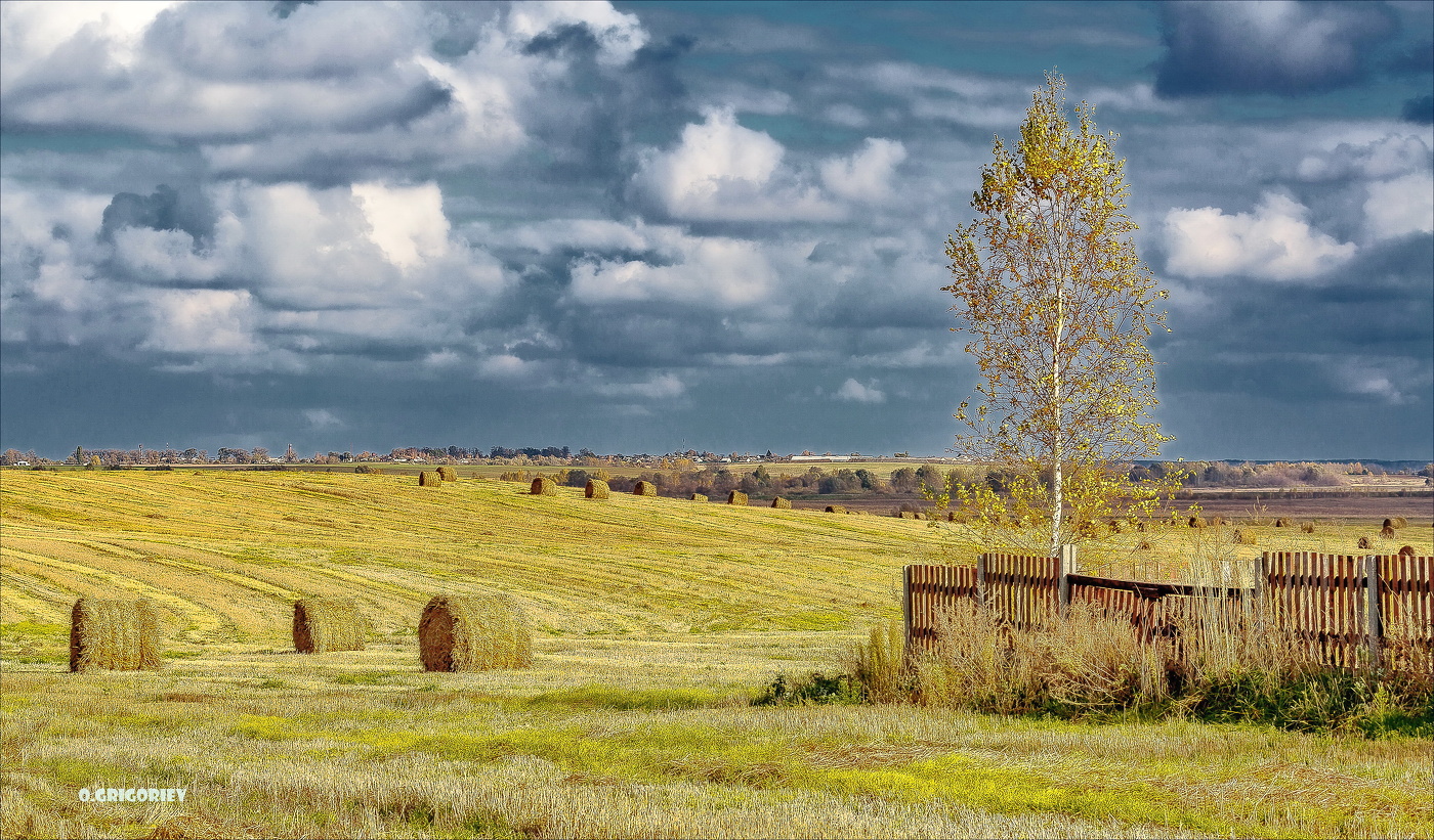 Уже не веет запах хлеба...