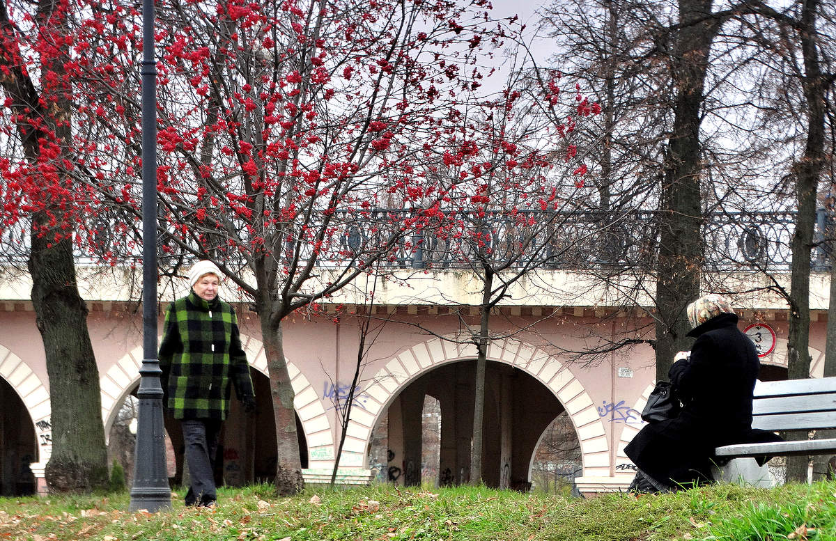 Хочу рябину с женщиной сравнить