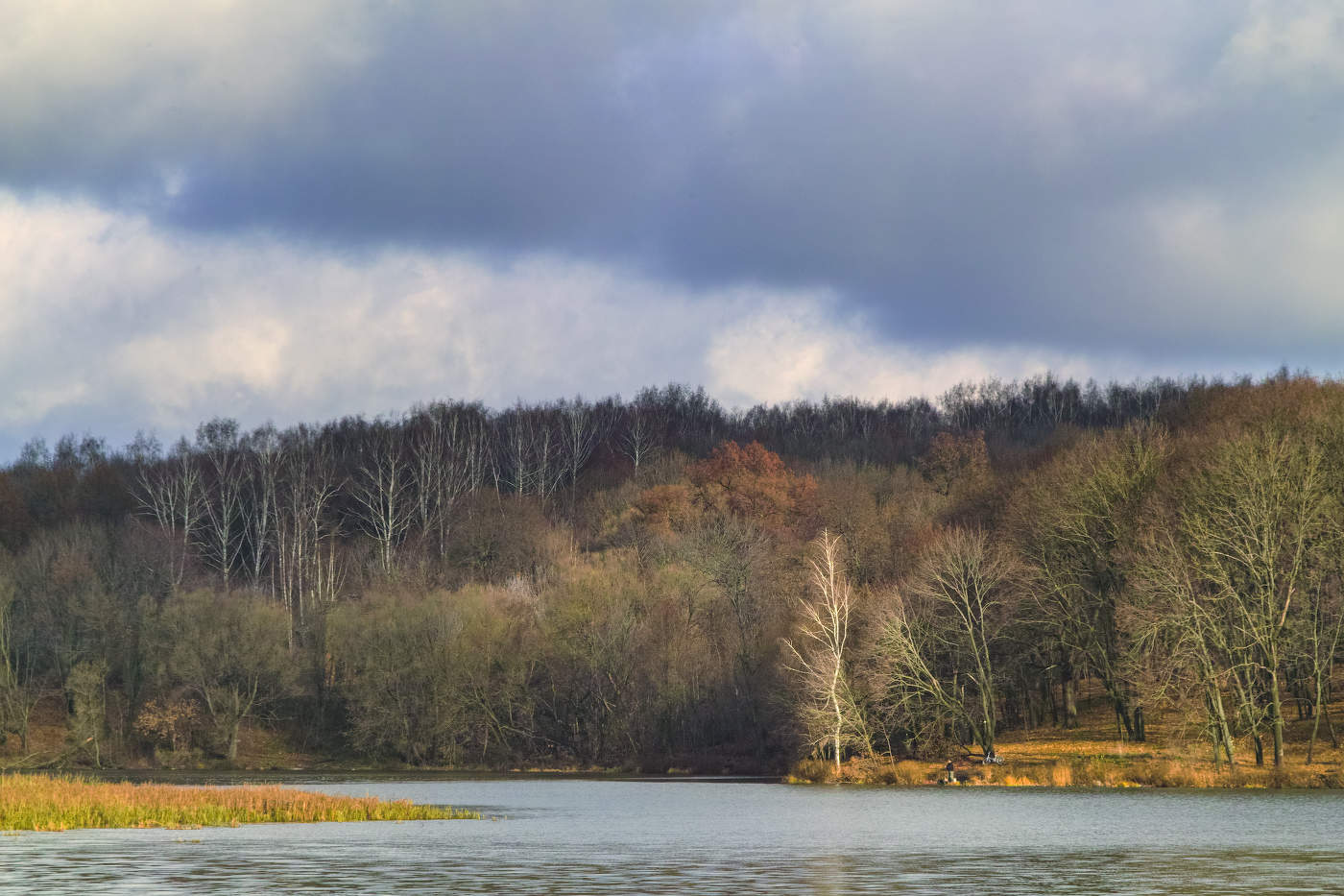 Вот и ноябрь наступил