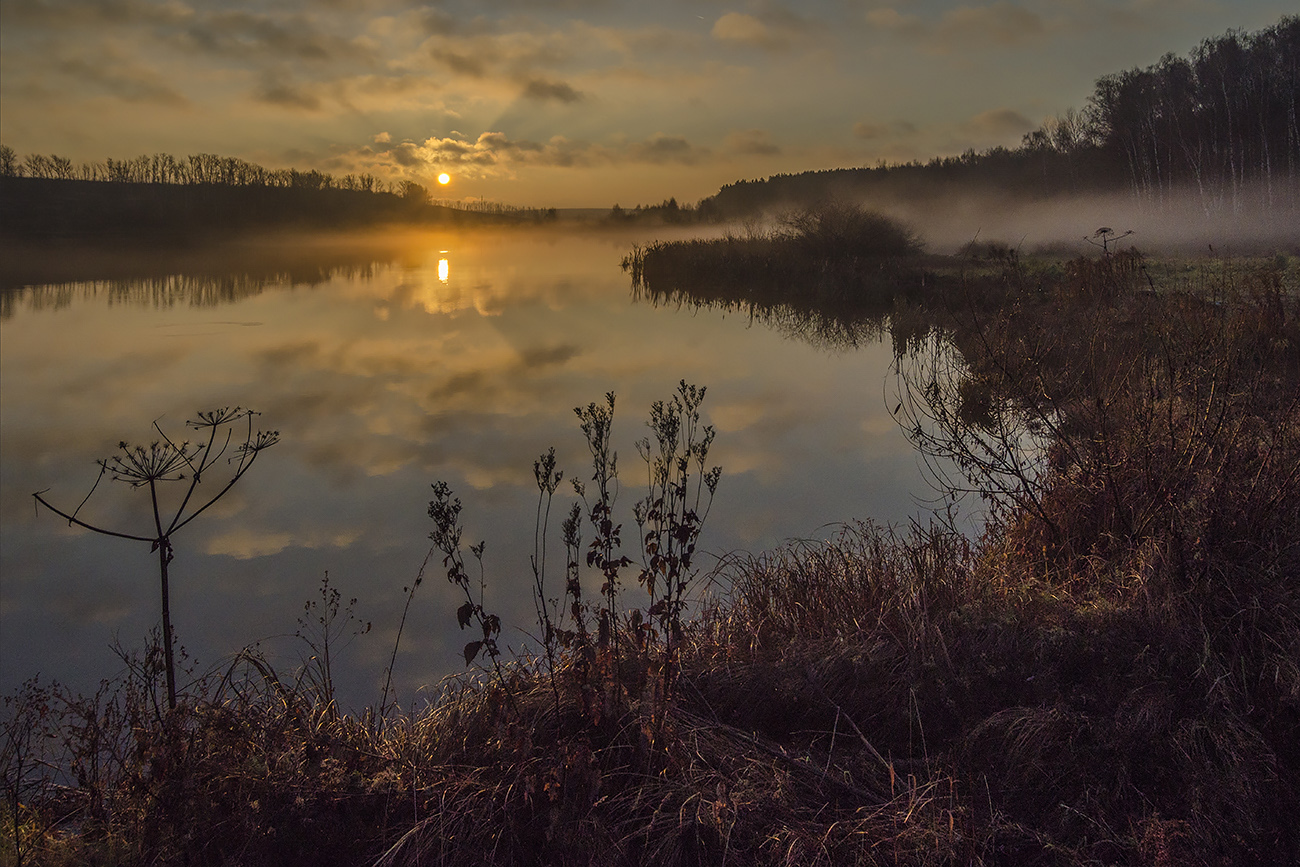 У истоков ноябрьского дня