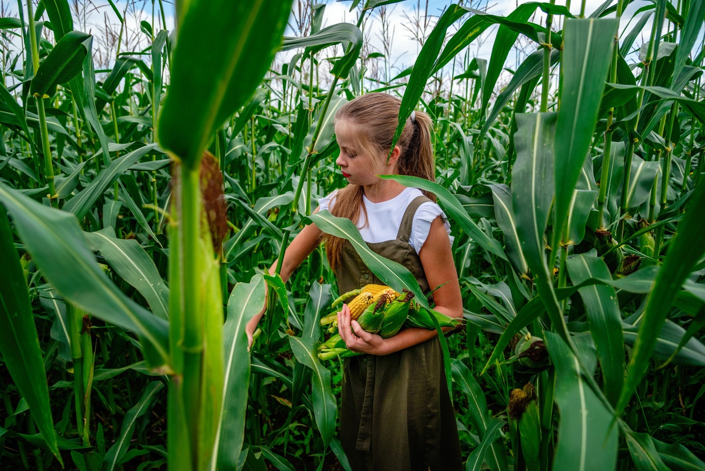 Летние работы