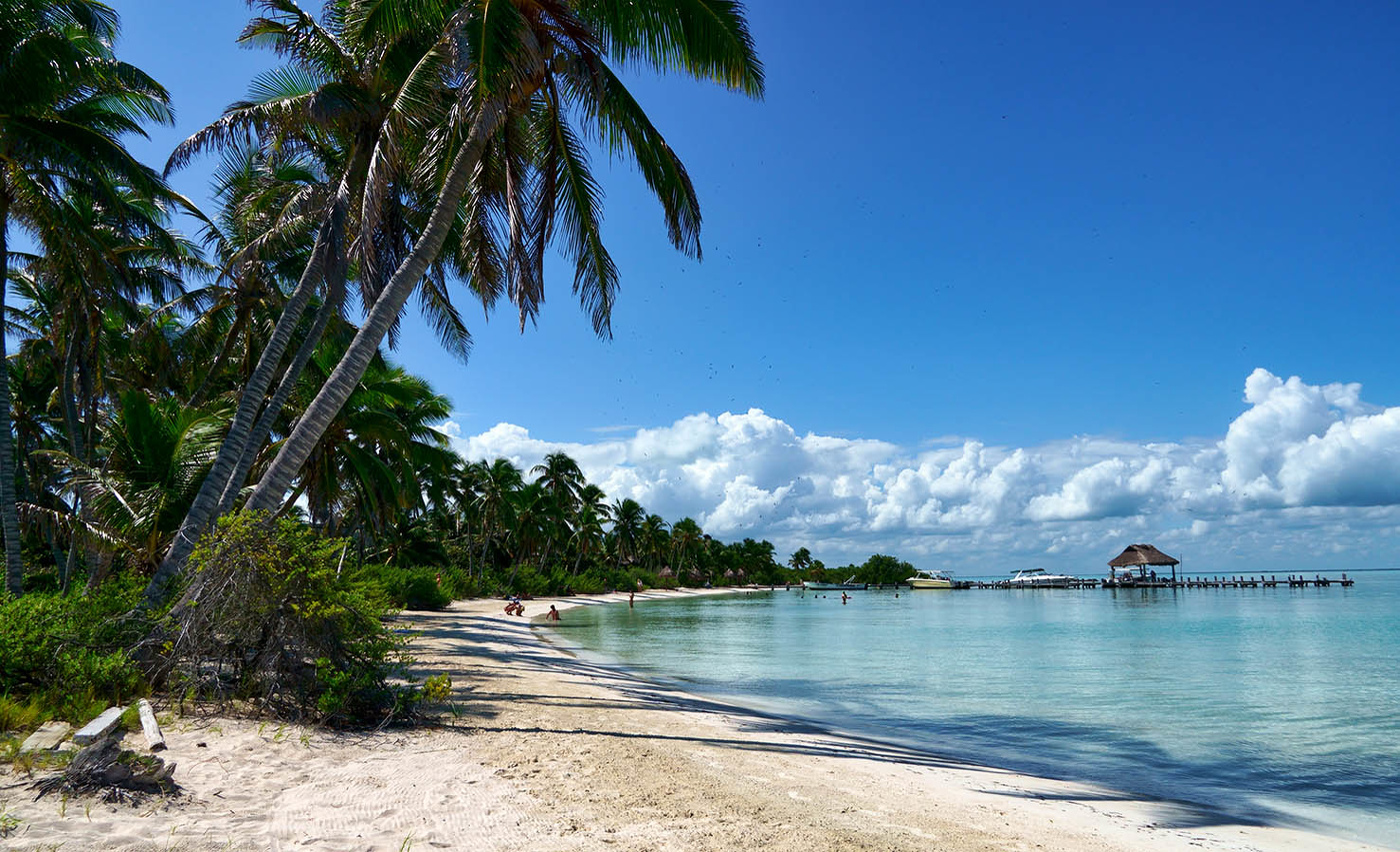 На острове Котой