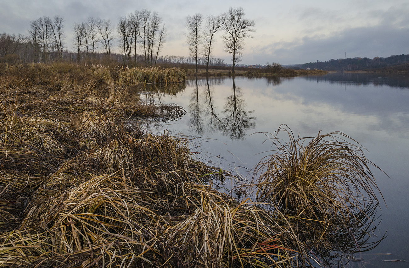 Архангельское. Начало ноября