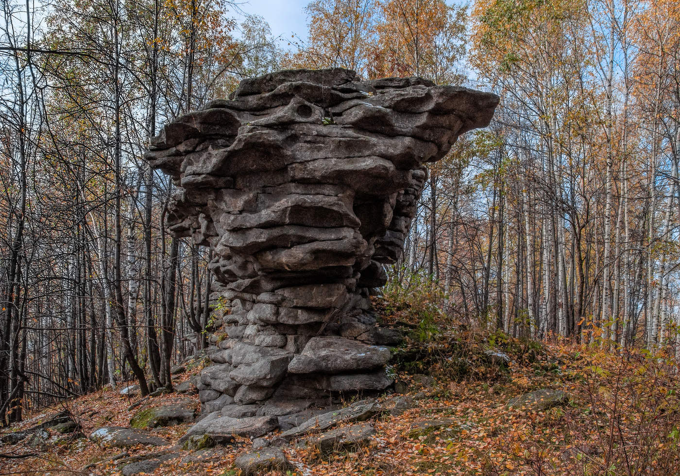 Лесное чудище