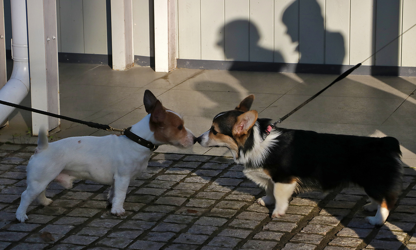 Привет! - Привет!