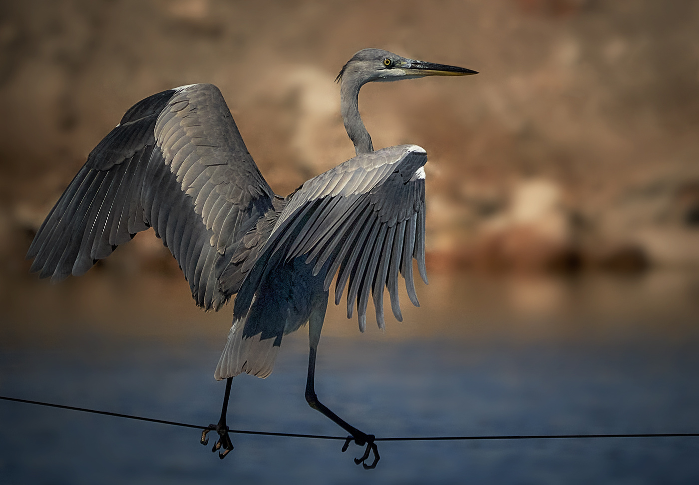 Эквилибр на проводе