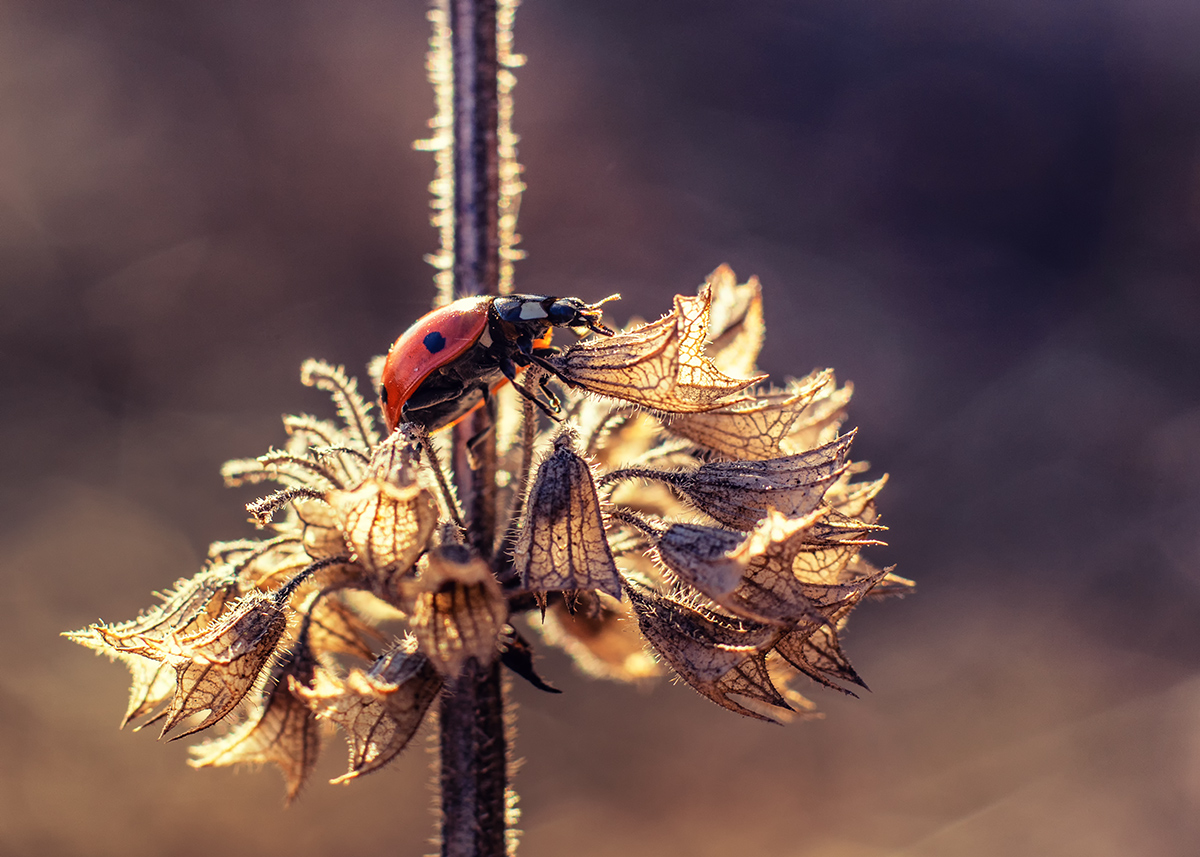 Звук поставим на всю...