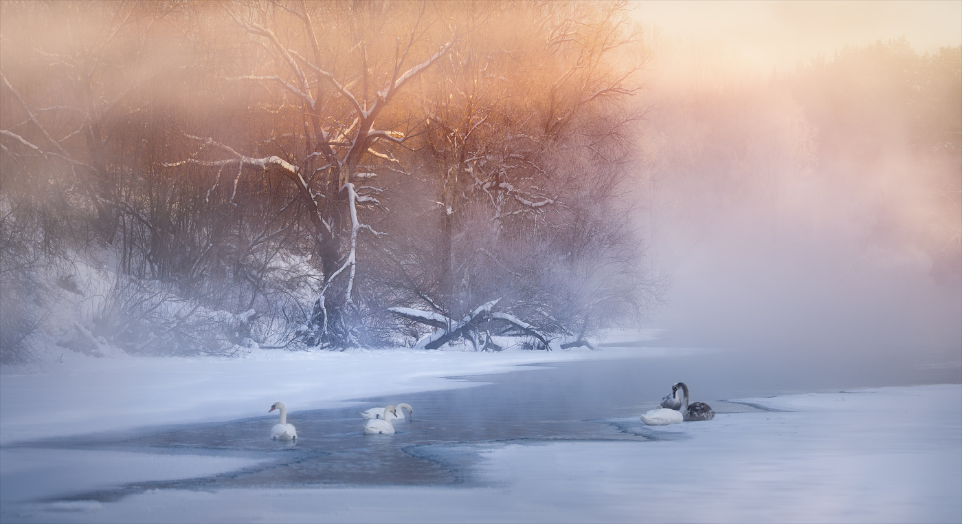 Выжить вопреки...