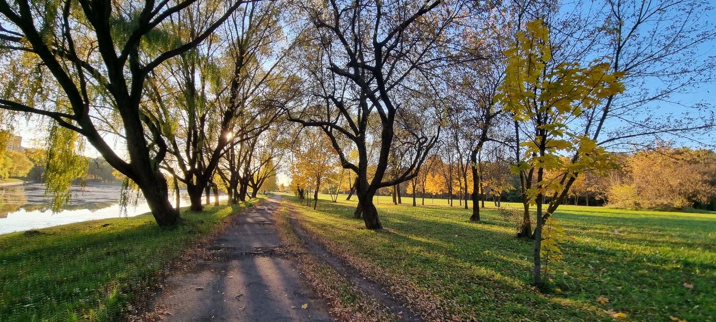 Осенний вечер...