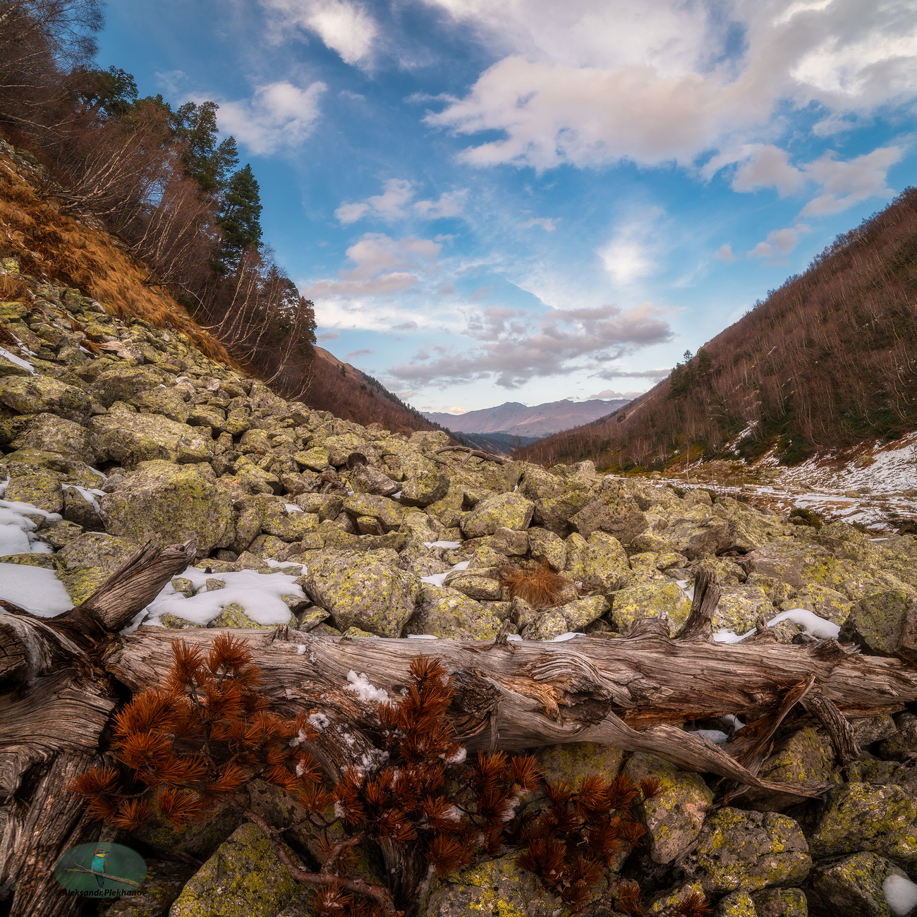 На каменной осыпи