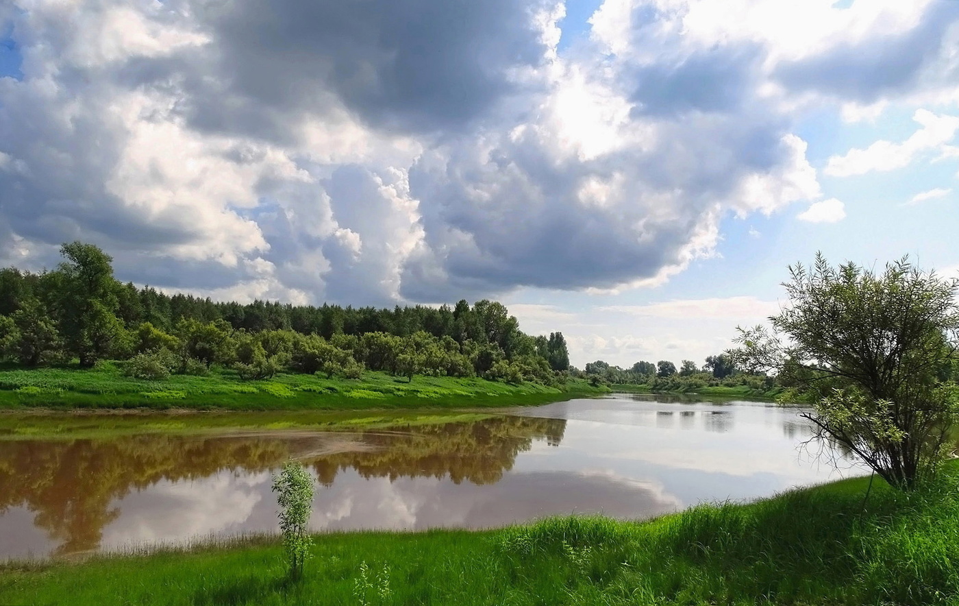 Летняя река