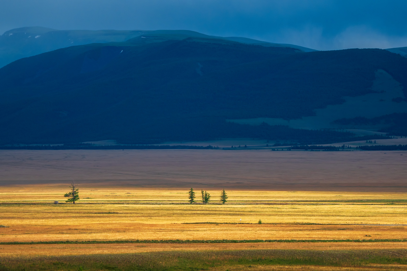 Краски летнего Алтая.