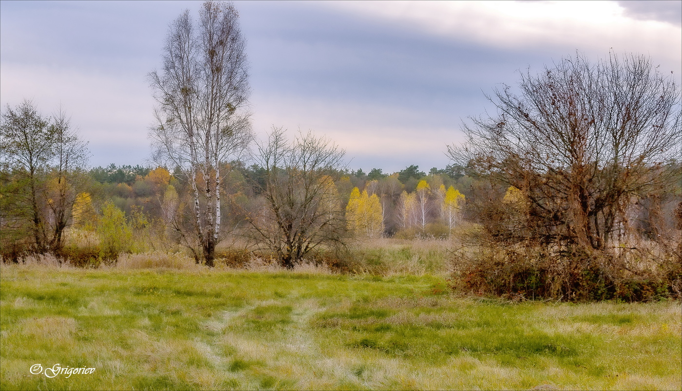 Есть у Осени грустинка...