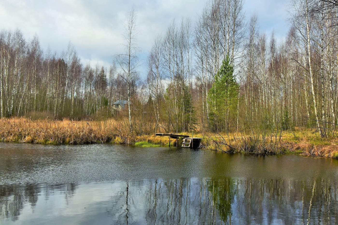 "Я пью тишину у природы в плену ..."