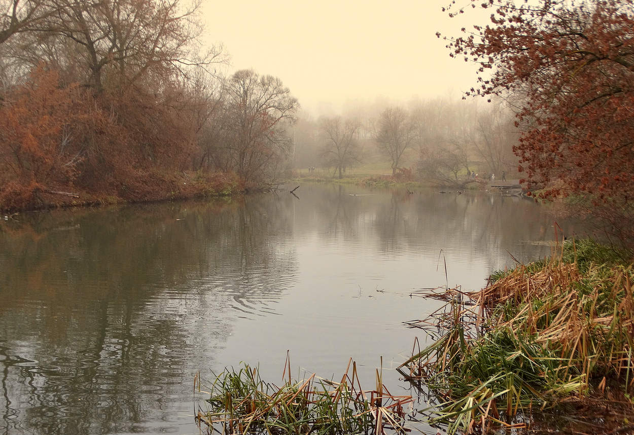 Туманный ноябрьский вечер